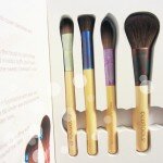 Ecotools brush set