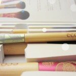 Ecotools brush