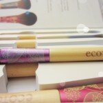 Ecotools brush precision foundation